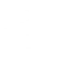 Logo Icon
